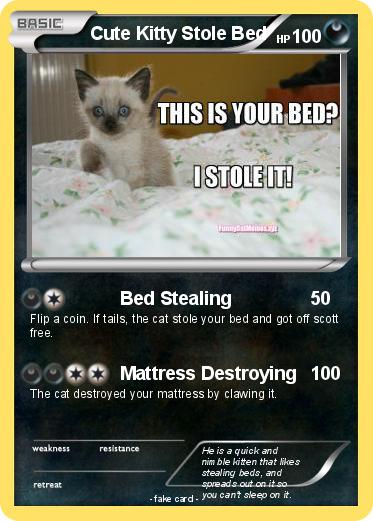 Pokemon Cute Kitty Stole Bed
