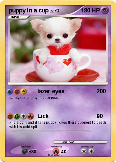 Pokemon puppy in a cup