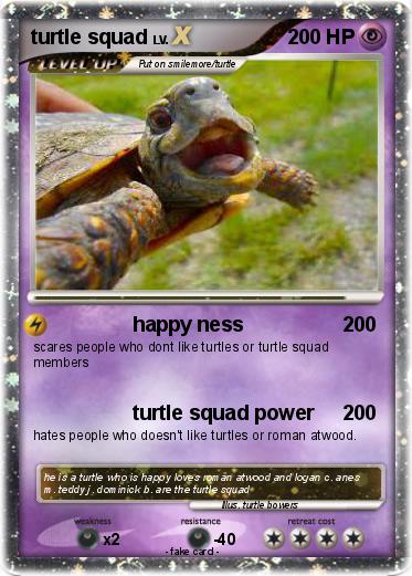 Pokemon turtle squad
