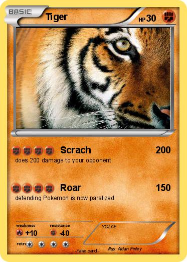Pokemon Tiger