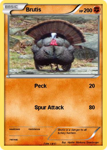Pokemon Brutis