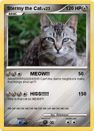 Pokemon Stermy the Cat