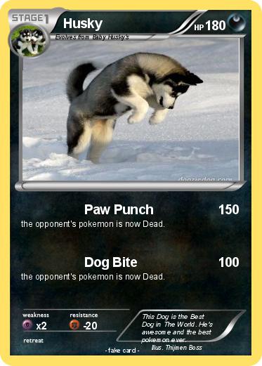 Pokemon Husky