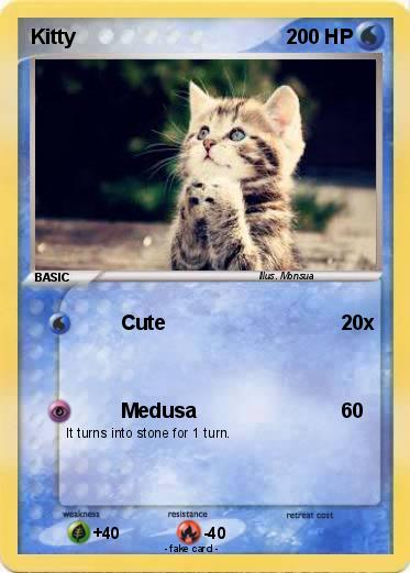 Pokemon Kitty