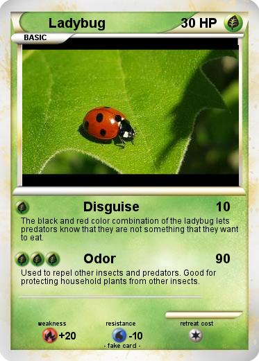 Pokemon Ladybug