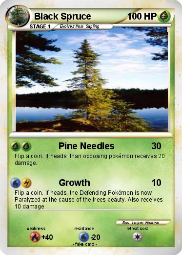 Pokemon Black Spruce