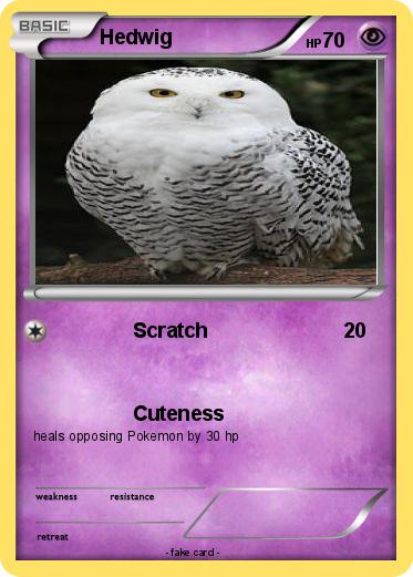 Pokemon Hedwig