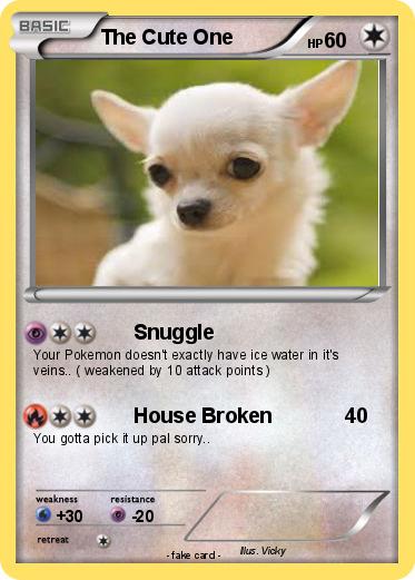 Pokemon The Cute One
