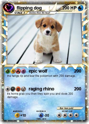 Pokemon flipping dog