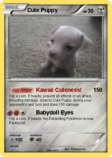 Pokemon Cute Puppy