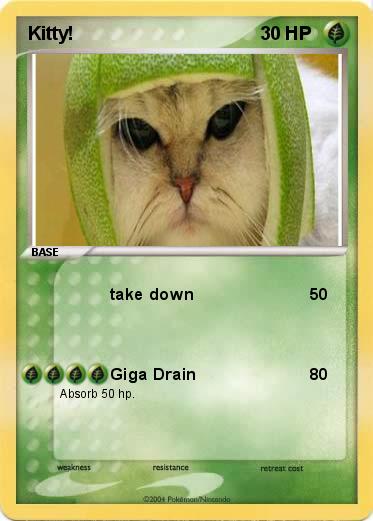 Pokemon Kitty!