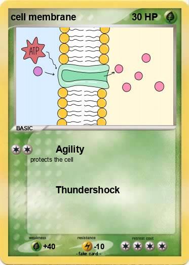 Pokemon cell membrane