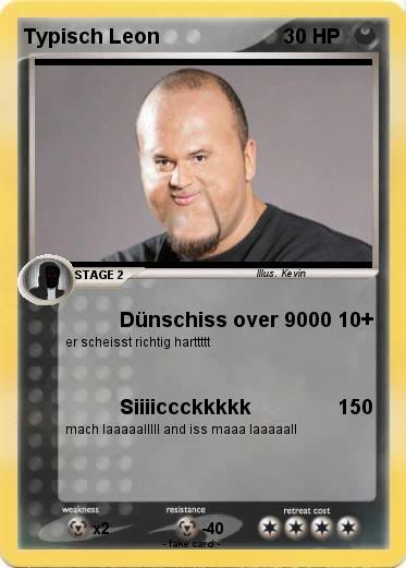 Pokemon Typisch Leon