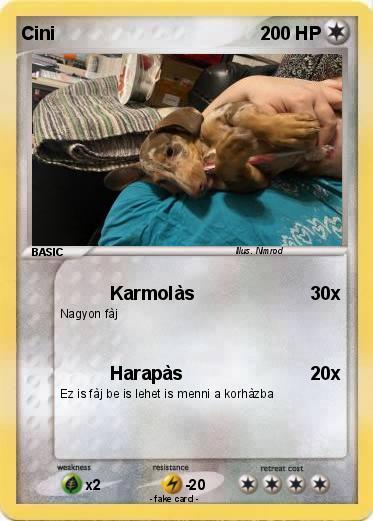 Pokemon Cini
