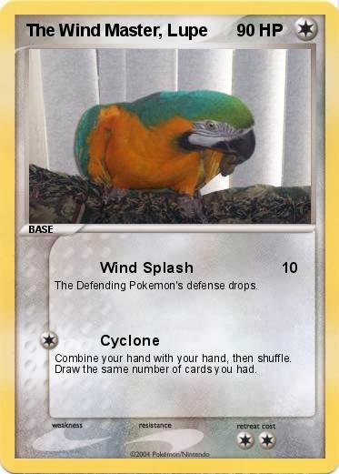 Pokemon The Wind Master, Lupe
