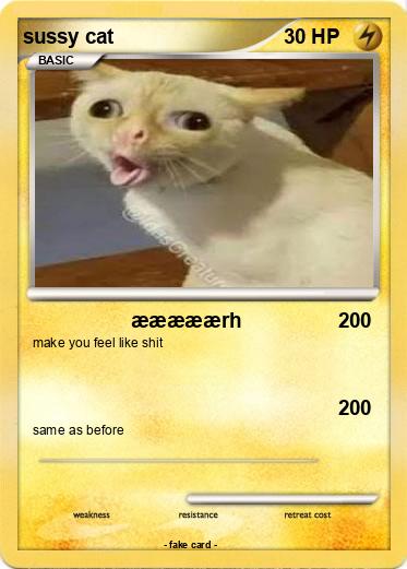 Pokemon sussy cat