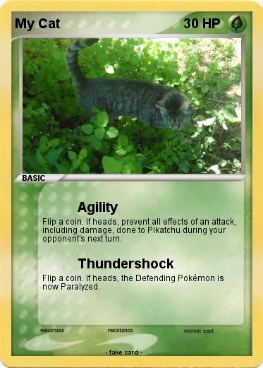 Pokemon My Cat