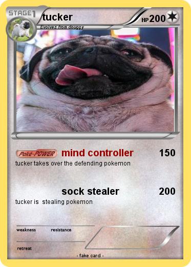 Pokemon tucker