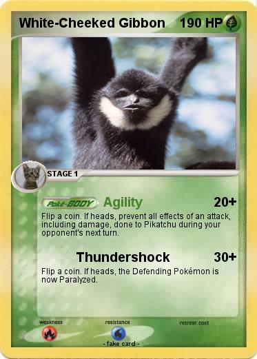Pokemon White-Cheeked Gibbon