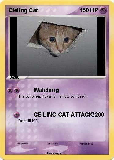 Pokemon Cieling Cat