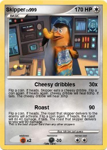 Pokemon Skipper