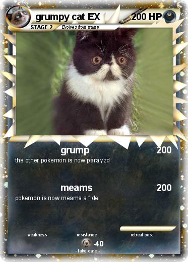 Pokemon grumpy cat EX