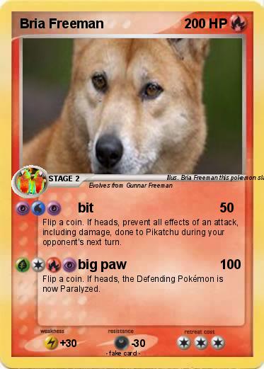 Pokemon Bria Freeman