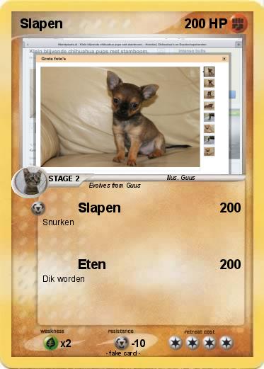 Pokemon Slapen
