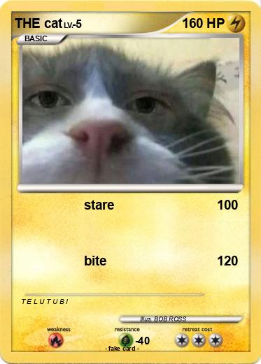 Pokemon THE cat