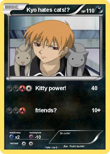 Pokemon Kyo hates cats!?