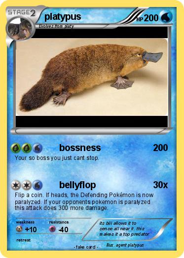 Pokemon platypus