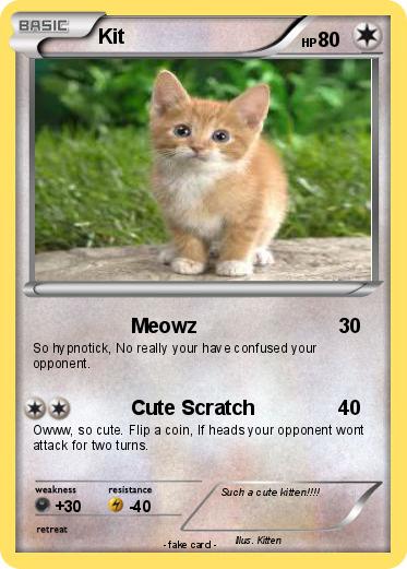 Pokemon Kit