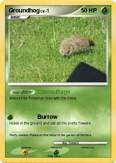 Pokemon Groundhog