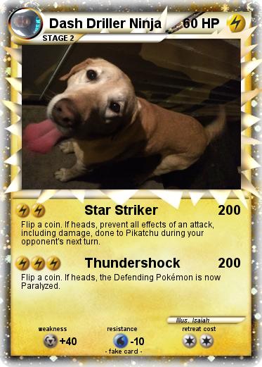Pokemon Dash Driller Ninja