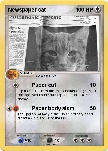 Pokemon Newspaper cat