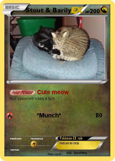 Pokemon Stout & Barily