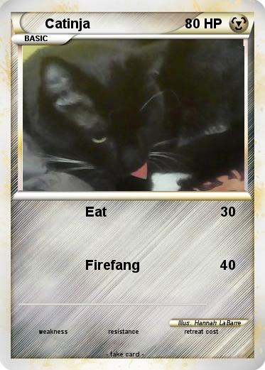 Pokemon Catinja