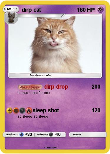 Pokemon dirp cat