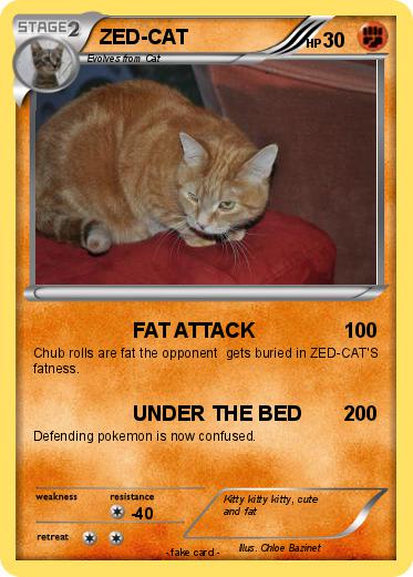 Pokemon ZED-CAT