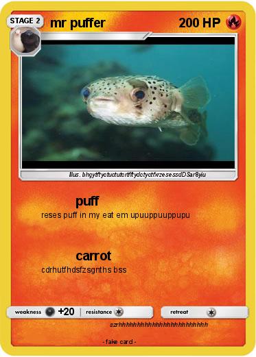 Pokemon mr puffer
