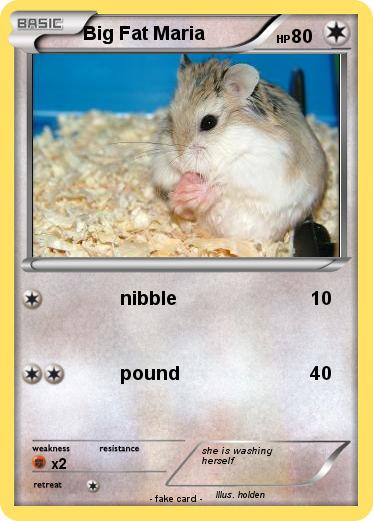 Pokemon Big Fat Maria