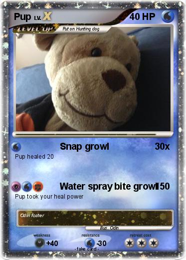 Pokemon Pup