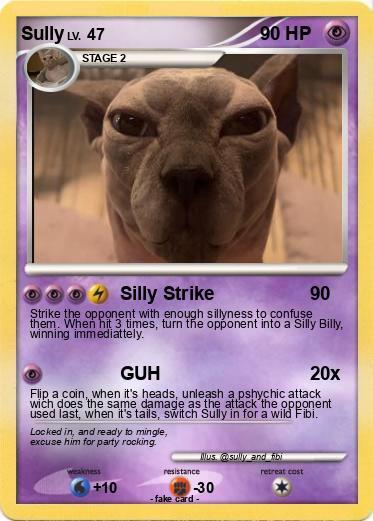 Pokemon Sully