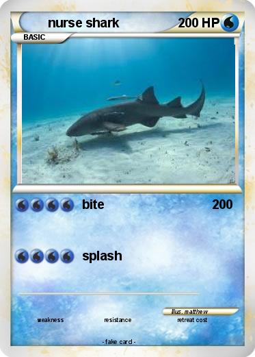 Pokemon nurse shark