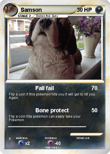Pokemon Samson