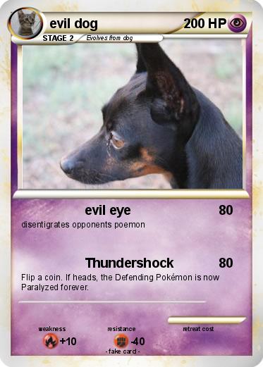 Pokemon evil dog
