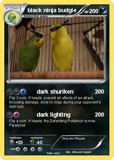 Pokemon black ninja budgie