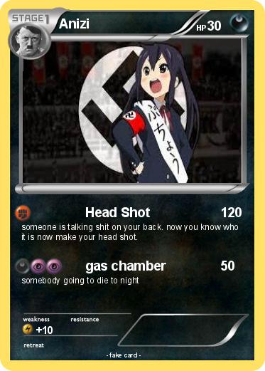 Pokemon Anizi