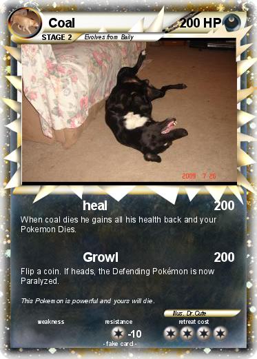 Pokemon Coal