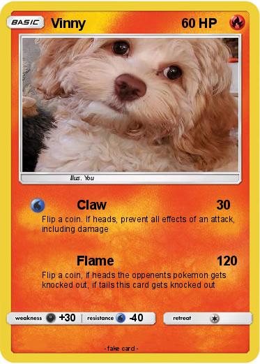 Pokemon Vinny